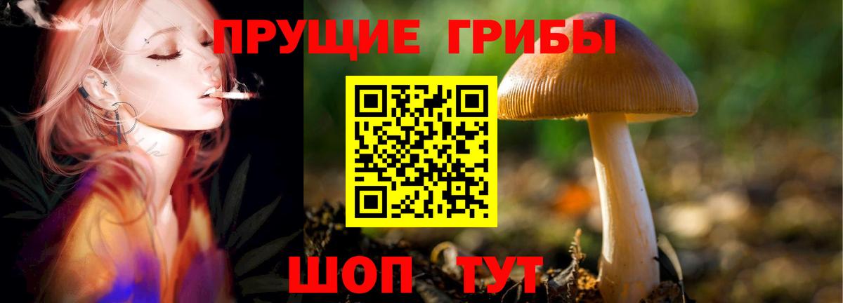 Галлюциногенные грибы MAGIC MUSHROOMS Ялта